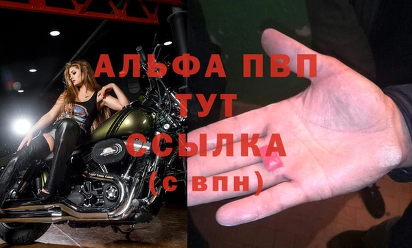 spice Зерноград
