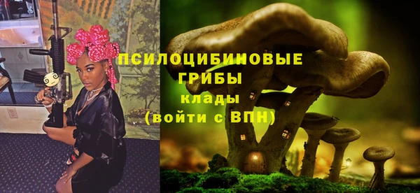 spice Зерноград