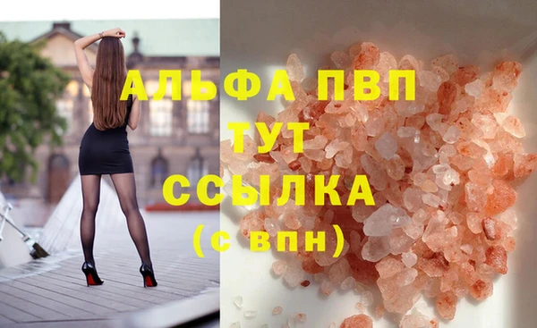 гидра Зеленокумск