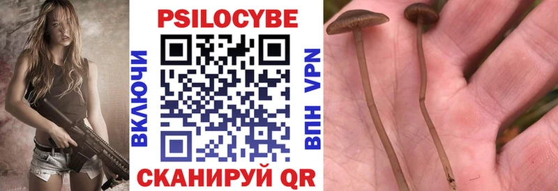 Псилоцибиновые грибы Psilocybe  Обнинск 